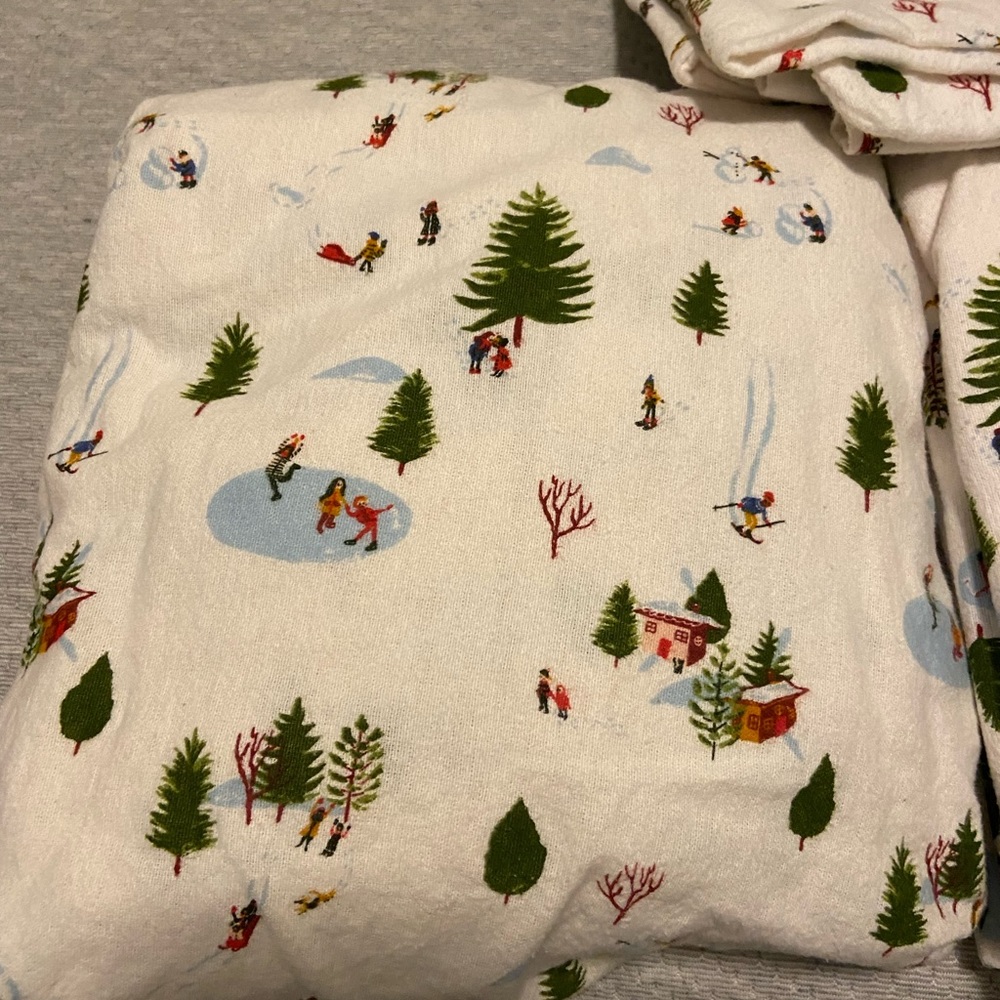 Twin Flannel Sheet Set